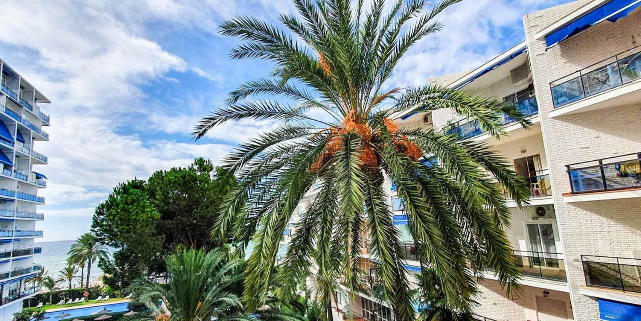 Skol Apartments Marbella Exterior photo